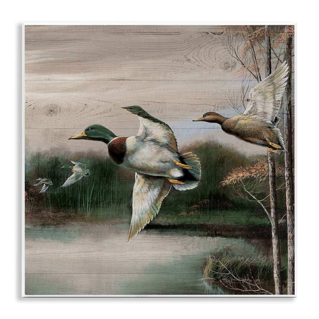 Stupell Industries Flying Ducks in Rustic Nature Wall Plaque Design by Ruane Manning